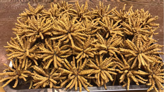 福州正宗那区冬虫夏草哪里买? 鸿泓宏教你如何食用和保存冬虫夏草