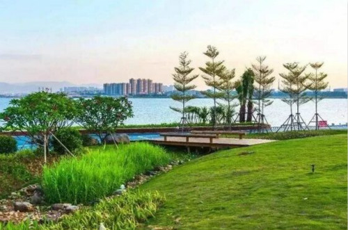 感受厦门山海湖美景 这场赛事27日举行