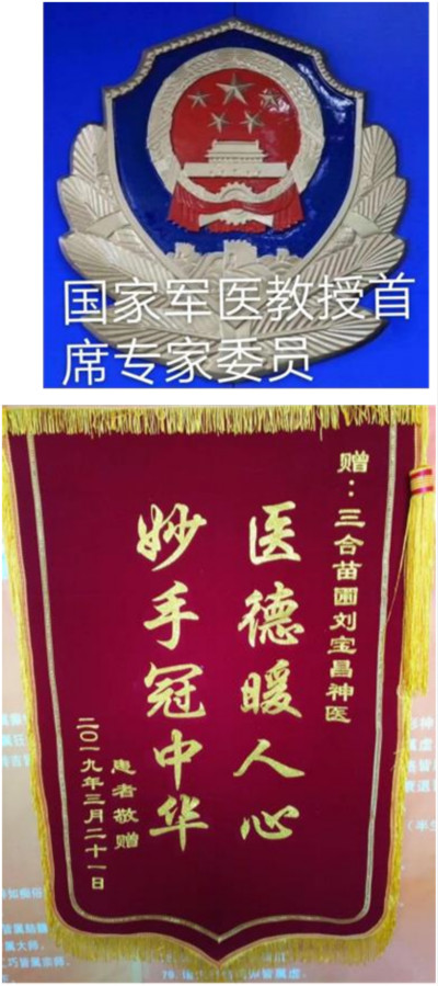 国医名师 —— 刘宝昌