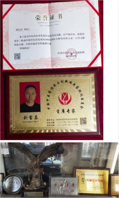国医名师 —— 刘宝昌