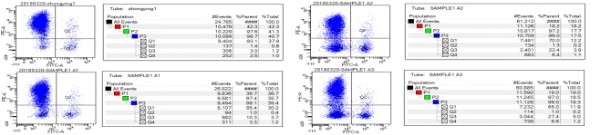 中赢生物滋养细胞获国家级安评认证 NK细胞临床应用进程破局加速
