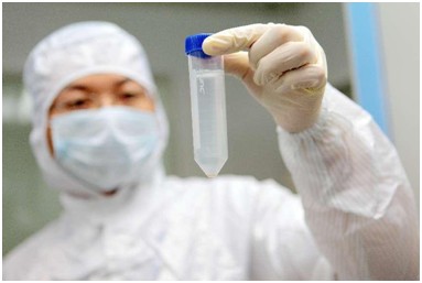NK细胞治疗赛道凝聚更高热度 中赢生物专利突破行业难题