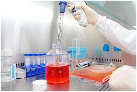 中赢生物登榜“专精特新”,前端科技引发投资期待